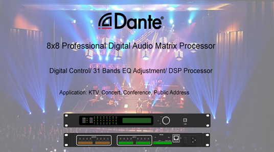 Processeur de matrice audio pour Protocol-DP8004 Dante
