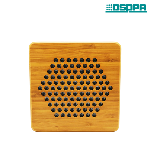 Système de haut-parleur directionnel actif DSS1419
