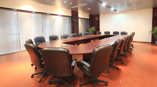 Government Conference Room