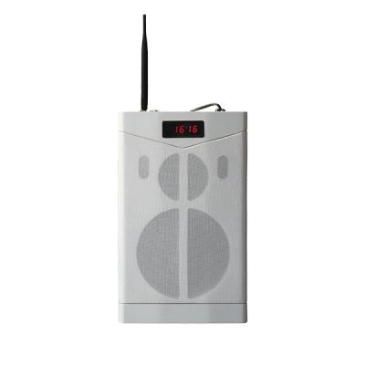 Haut-parleur d'enseignement réseau Bluetooth MAG6363G avec microphone sans fil 2.4G