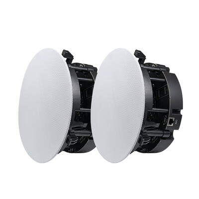 DW2235 6.5 pouces 2 voies stéréo WiFi et Bluetooth Plafond haut-parleurs