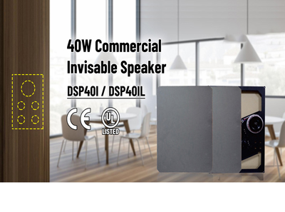 DSP401/ DSP401L 40W haut-parleur commercial invisible