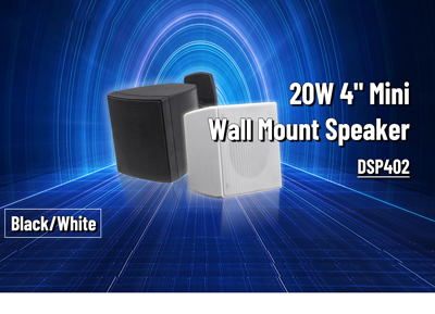 DSP402 20W 4 pouces mini haut-parleur mural