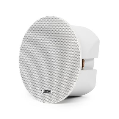 DSP602BT Haut-parleur de plafond Bluetooth