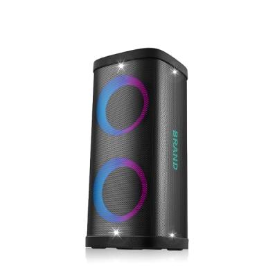 DSP2605 Double 6.5 ''Haut-parleur portable Bluetooth multifonctionnel