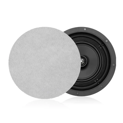 DSP6540UT 6.5 ''40W Haut-parleur ultra-mince dans le plafond